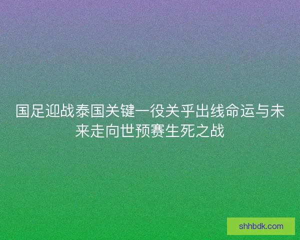 国足迎战泰国关键一役关乎出线命运与未来走向世预赛生死之战