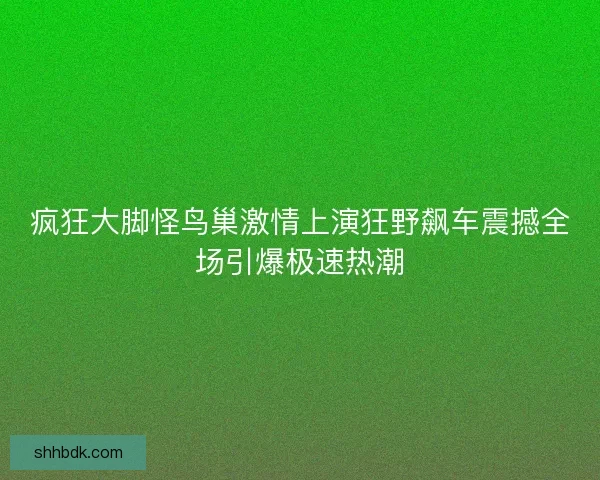 疯狂大脚怪鸟巢激情上演狂野飙车震撼全场引爆极速热潮