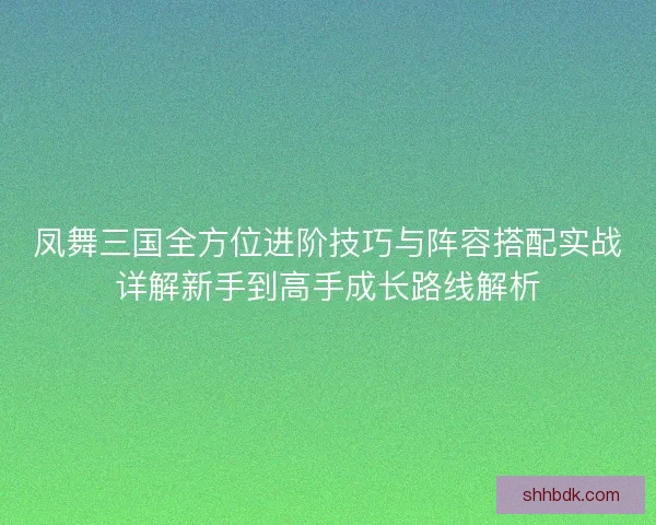 凤舞三国全方位进阶技巧与阵容搭配实战详解新手到高手成长路线解析